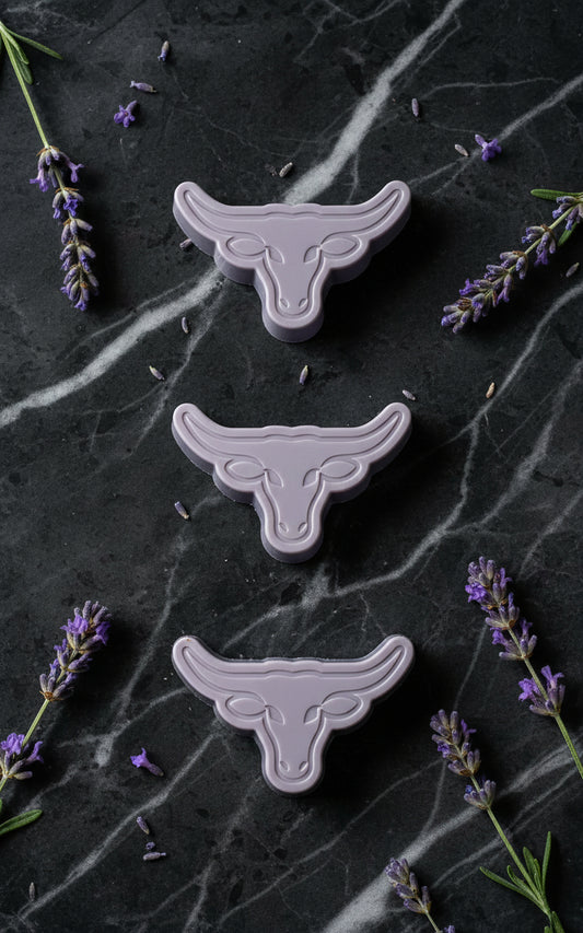 Texas Hill Country Lavender Longhorns