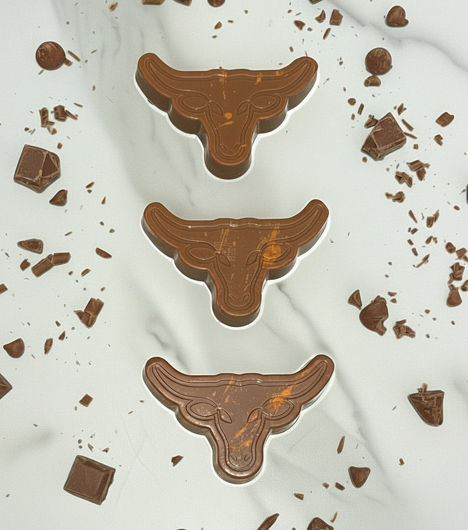 Milk Chocolate Longhorn Box