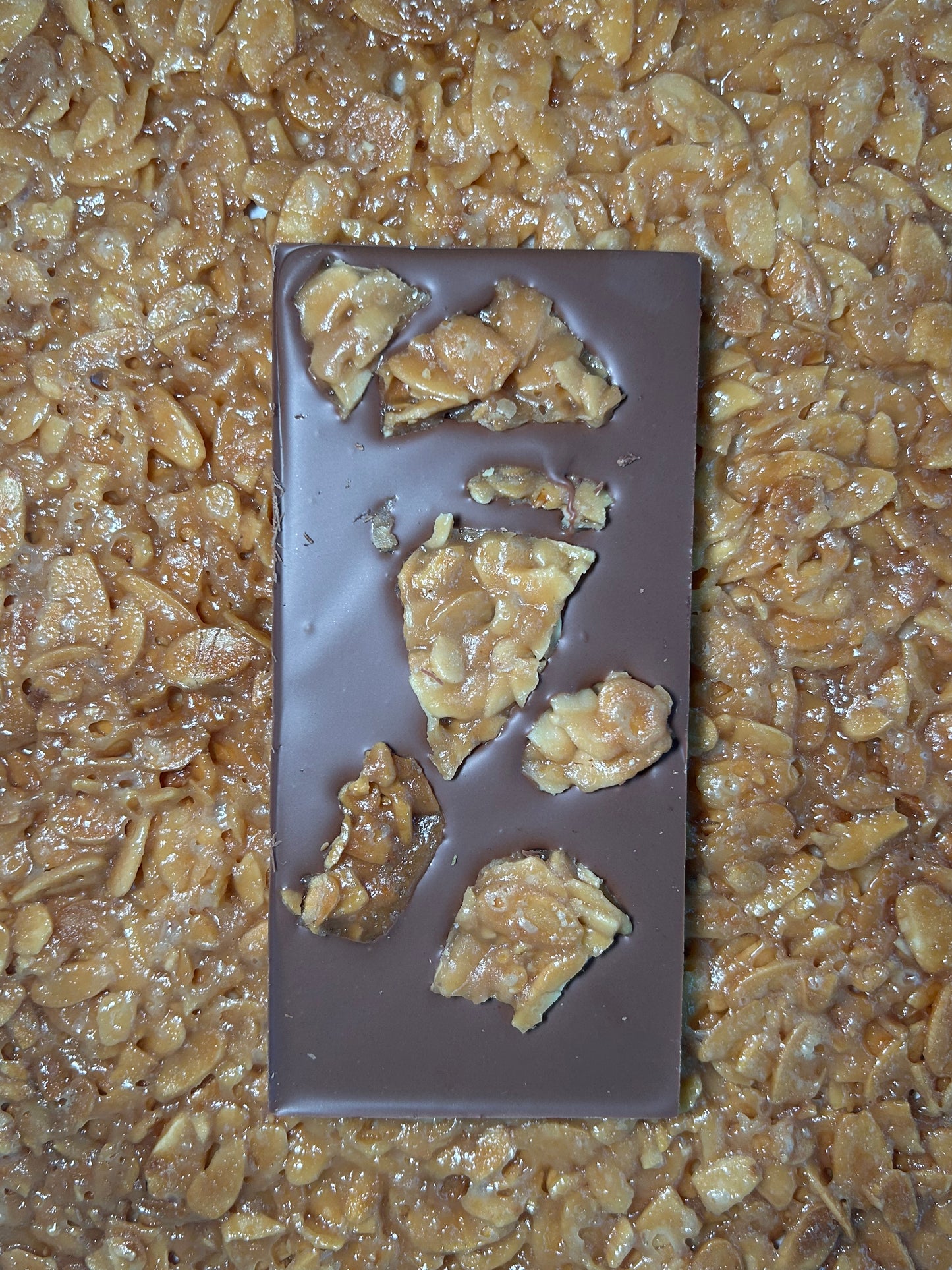 Milk Chocolate Nougatine